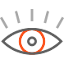 Eye Icon